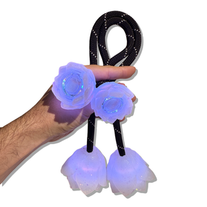 Lotus Flower LED Poi